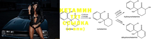 дживик Вязники