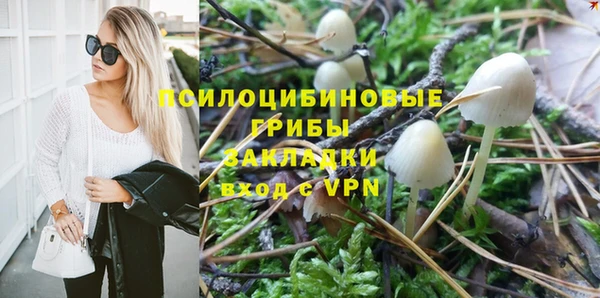 дживик Вязники