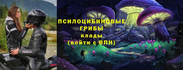 mdpv Вяземский