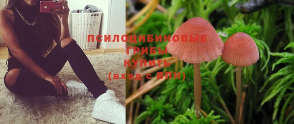 дживик Вязники