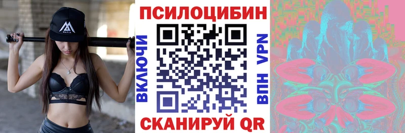 ОМГ ОМГ как войти  как найти закладки  Пересвет  Псилоцибиновые грибы Cubensis 